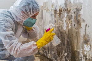 Mold Remediation